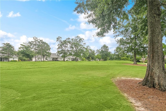 733 Plantation Dr, Abita Springs, LA 70420 - view of grassy yard