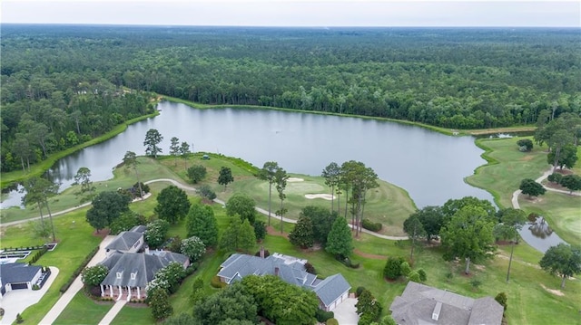 733 Plantation Dr, Abita Springs, LA 70420 - view of property location with a forest and a large body of water