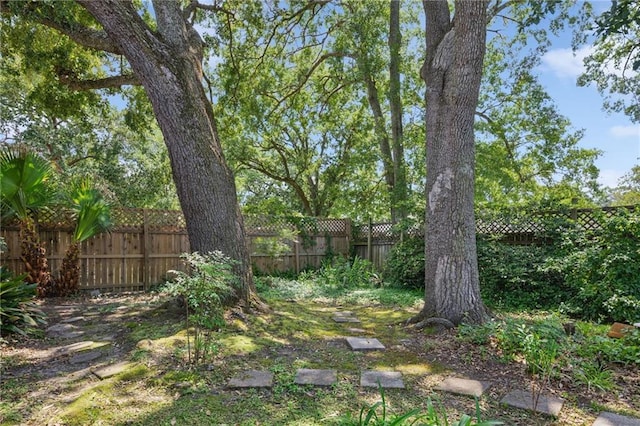 3845 Croydon St, Slidell, LA 70458 - view of fenced backyard