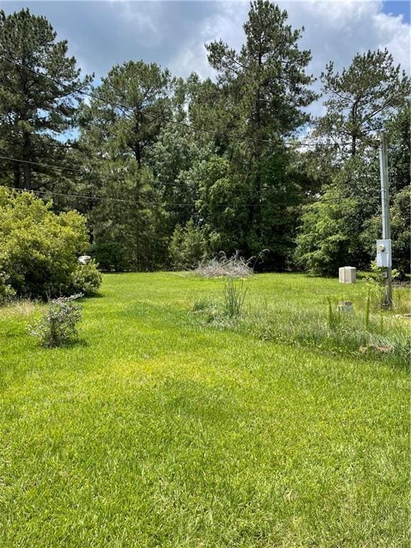 22056 Chappepeela Rd, Loranger, LA 70446 - view of yard with a wooded view