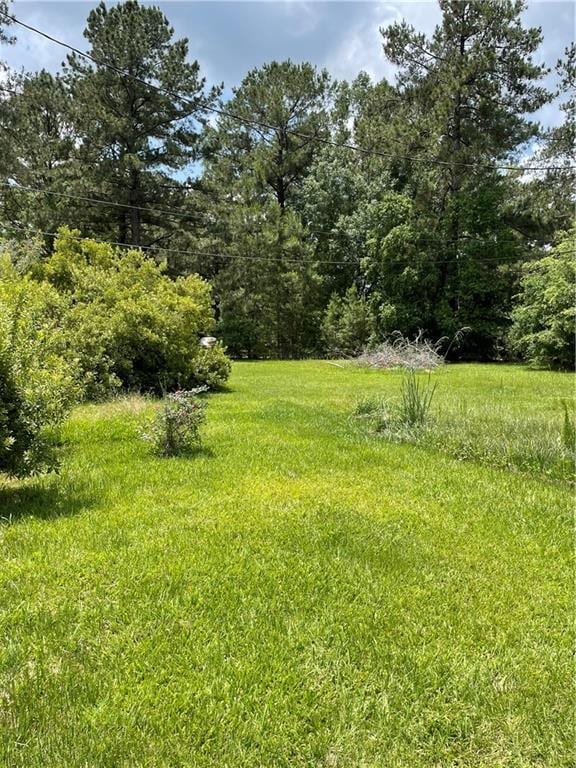 22056 Chappepeela Rd, Loranger, LA 70446 - view of yard with a view of trees