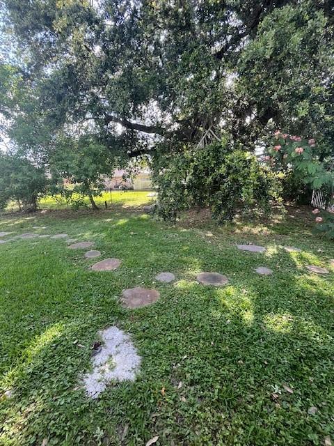 5917 Campus Blvd, New Orleans, LA 70126 - view of green lawn