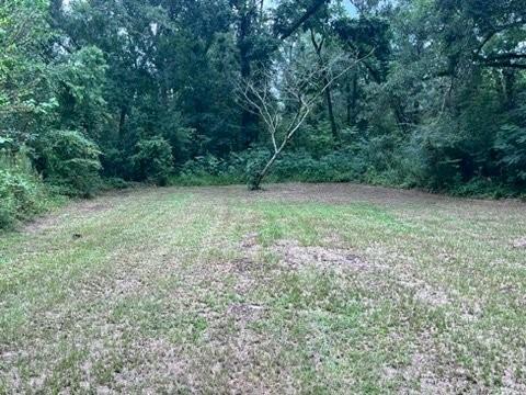 99 White St, Hammond, LA 70403 - view of yard with a forest view