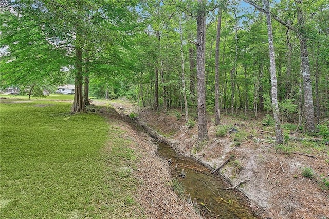 19196 Wildoak Ln, Ponchatoula, LA 70454 - view of yard