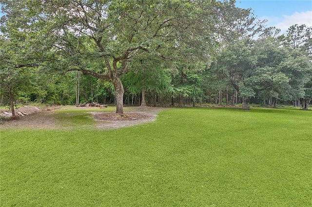 19196 Wildoak Ln, Ponchatoula, LA 70454 - view of green lawn