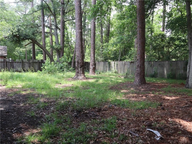 1604 Saint Christopher St, Slidell, LA 70460 - view of yard