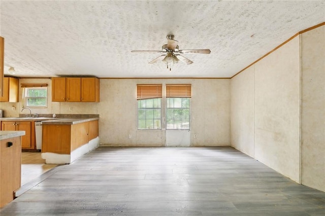 16940 Gunboat Landing Rd, Livingston, LA 70449 - kitchen with a ceiling fan, light wood finished floors, brown cabinetry, light countertops, and dishwasher