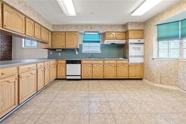 1816 Giuffrias Ave, Metairie, LA 70001 - kitchen featuring white appliances, under cabinet range hood, plenty of natural light, and a warming drawer