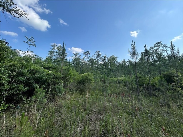 Sticker Bay Rd, Lacombe, LA 70445