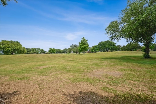 653 Fairfield Ave, Gretna, LA 70056 - view of green lawn