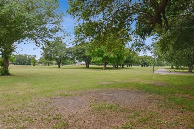 653 Fairfield Ave, Gretna, LA 70056 - view of property's community with a yard
