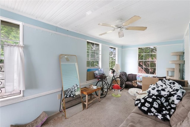 5655 Hawthorne Pl, New Orleans, LA 70124 - living area with carpet, healthy amount of natural light, and ceiling fan