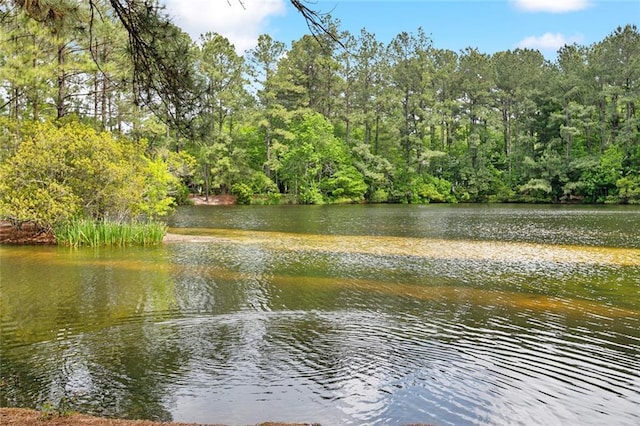 228 Shady Pond Ln, Covington, LA 70435 - water view with a forest