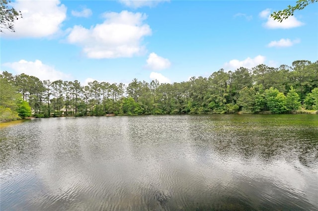 228 Shady Pond Ln, Covington, LA 70435 - water view featuring a forest