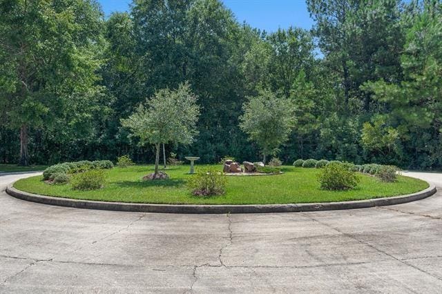 228 Shady Pond Ln, Covington, LA 70435 - surrounding community featuring a yard