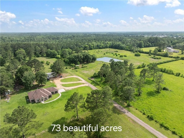 15488 Lake Ramsey Rd, Covington, LA 70435 - aerial view of a forest and a large body of water