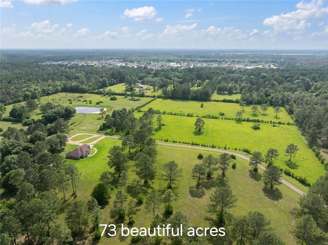 15488 Lake Ramsey Rd, Covington, LA 70435 - aerial view
