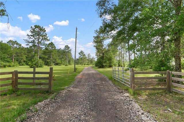 15488 Lake Ramsey Rd, Covington, LA 70435 - view of road