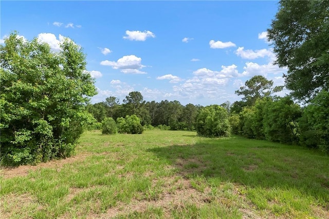 15488 Lake Ramsey Rd, Covington, LA 70435 - view of woods