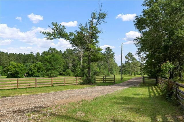15488 Lake Ramsey Rd, Covington, LA 70435 - view of dirt / gravel road featuring a view of trees and a view of rural / pastoral area
