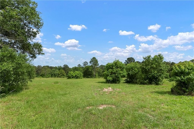 15488 Lake Ramsey Rd, Covington, LA 70435 - view of tree filled area