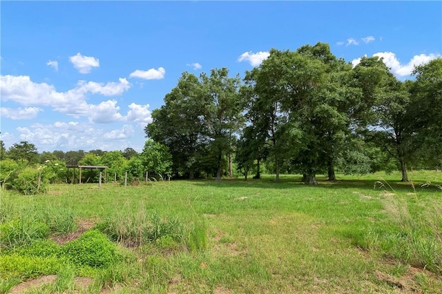 15488 Lake Ramsey Rd, Covington, LA 70435 - view of yard