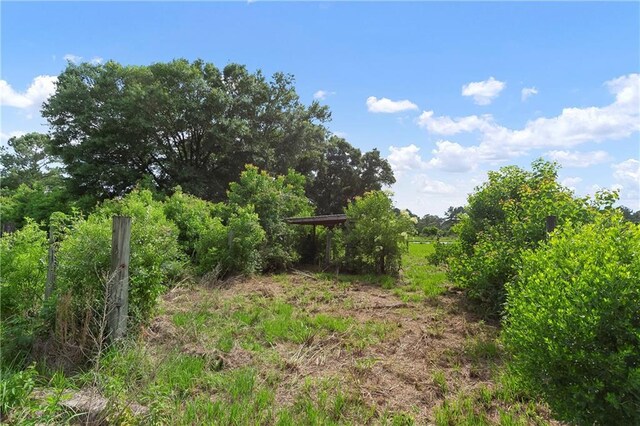 15488 Lake Ramsey Rd, Covington, LA 70435 - view of local wilderness