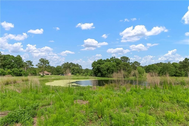 15488 Lake Ramsey Rd, Covington, LA 70435 - water view featuring a heavily wooded area
