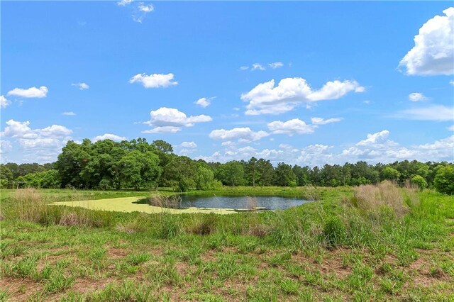 15488 Lake Ramsey Rd, Covington, LA 70435 - water view with a heavily wooded area