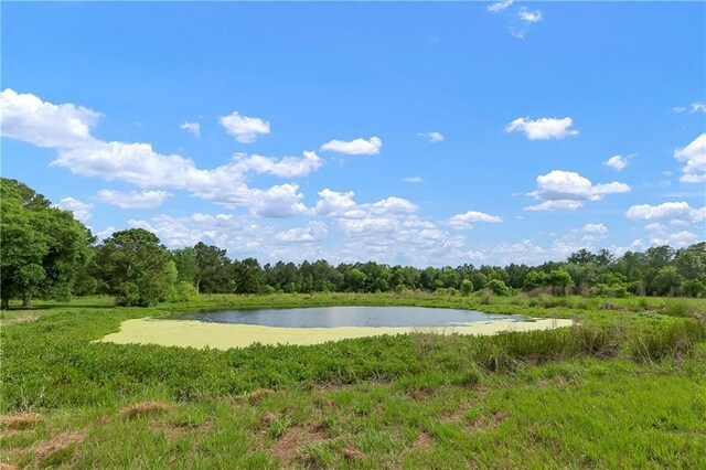 15488 Lake Ramsey Rd, Covington, LA 70435 - water view featuring a forest