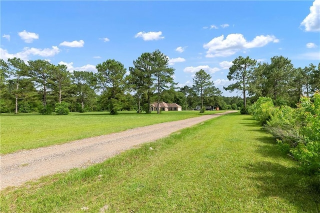15488 Lake Ramsey Rd, Covington, LA 70435 - view of home's community with a yard and gravel driveway