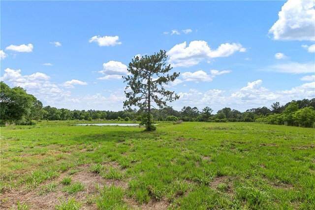 15488 Lake Ramsey Rd, Covington, LA 70435 - view of local wilderness featuring a nearby body of water