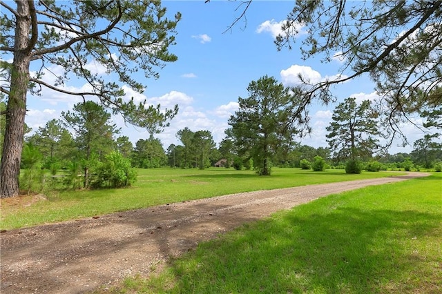 15488 Lake Ramsey Rd, Covington, LA 70435 - view of dirt / gravel road