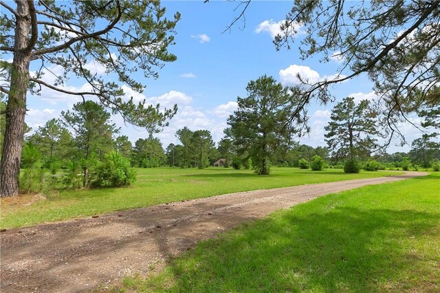 15488 Lake Ramsey Rd, Covington, LA 70435 - view of dirt / gravel road