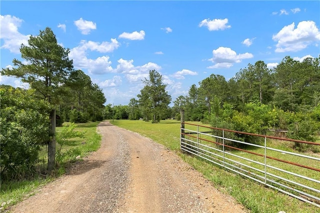 15488 Lake Ramsey Rd, Covington, LA 70435 - view of dirt / gravel road with a wooded view