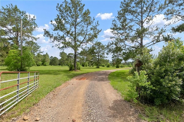 15488 Lake Ramsey Rd, Covington, LA 70435 - view of dirt / gravel road