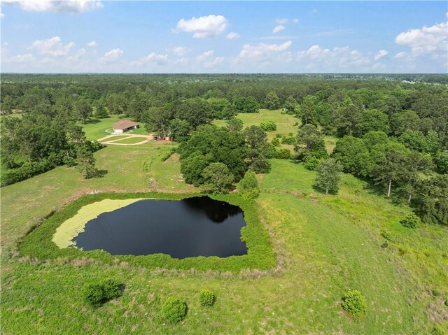 15488 Lake Ramsey Rd, Covington, LA 70435 - bird's eye view of a forest and a large body of water