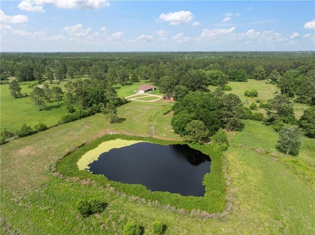 15488 Lake Ramsey Rd, Covington, LA 70435 - view of property location featuring a heavily wooded area and a large body of water