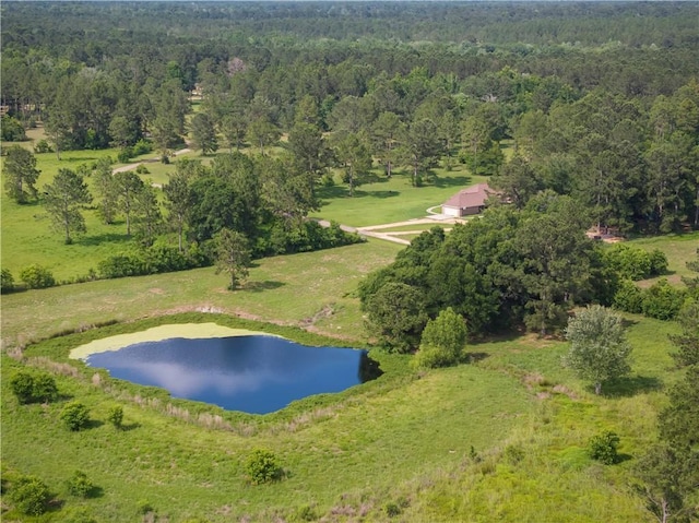 15488 Lake Ramsey Rd, Covington, LA 70435 - aerial view of property's location with a heavily wooded area and a nearby body of water