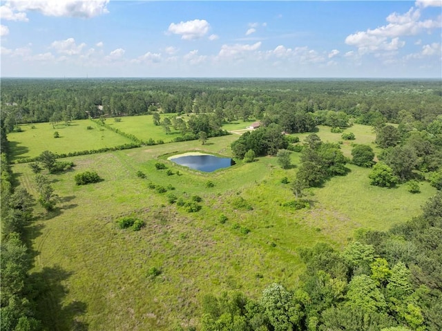 15488 Lake Ramsey Rd, Covington, LA 70435 - bird's eye view of a heavily wooded area and a nearby body of water