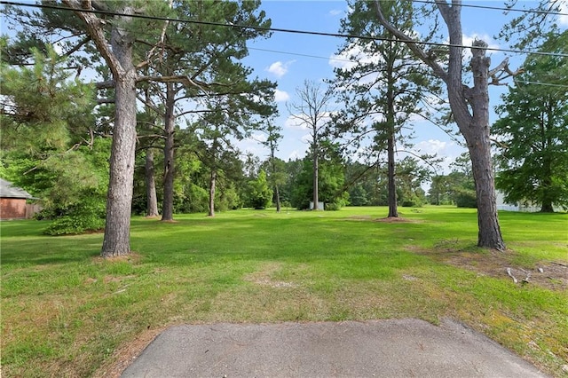 15488 Lake Ramsey Rd, Covington, LA 70435 - view of grassy yard