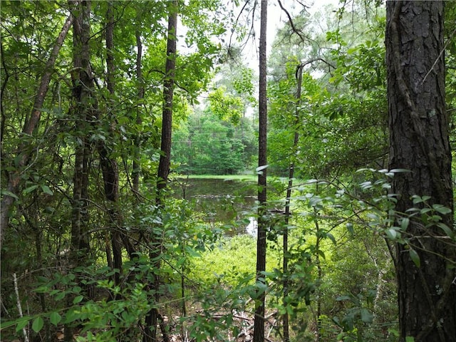 81490 Dale Dr, Folsom, LA 70437