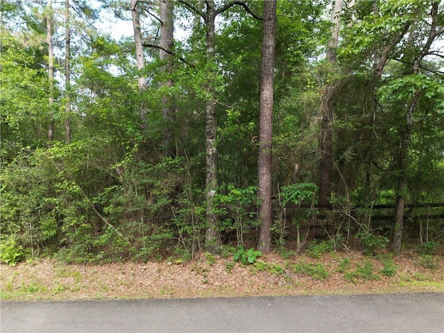 81490 Dale Dr, Folsom, LA 70437