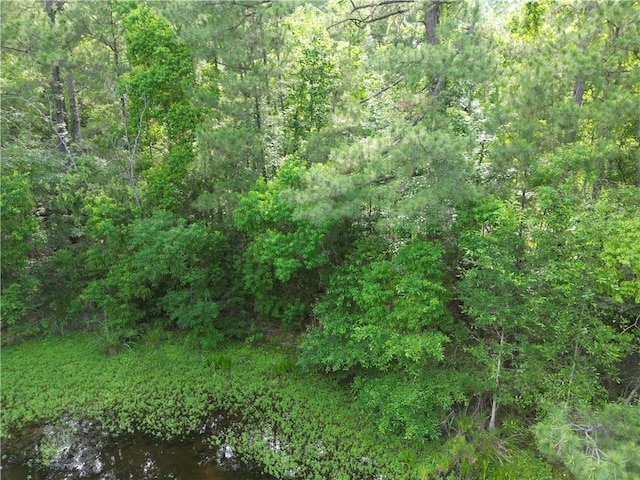 81490 Dale Dr, Folsom, LA 70437