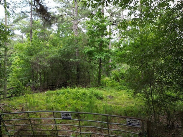 81490 Dale Dr, Folsom, LA 70437