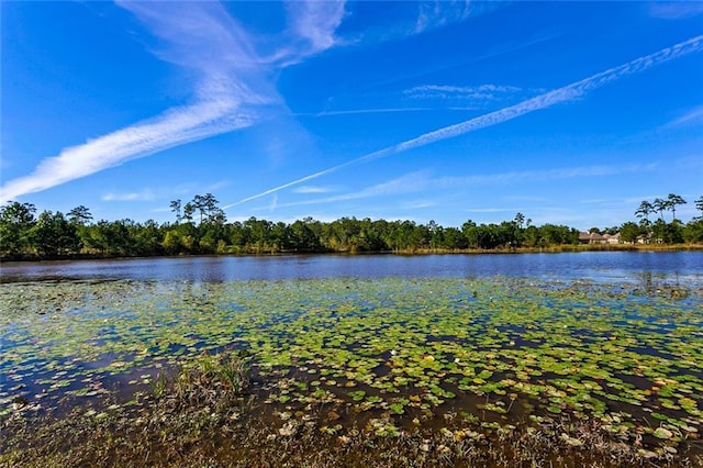 596 Blue Heron Ln, Madisonville, LA 70447 - water view