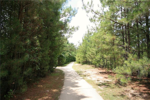 596 Blue Heron Ln, Madisonville, LA 70447 - view of road with a wooded view