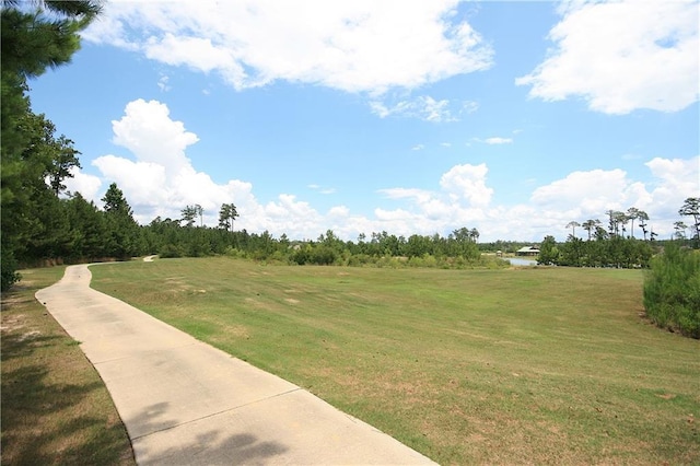 596 Blue Heron Ln, Madisonville, LA 70447 - view of green lawn