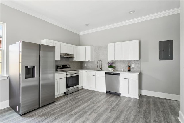 1827-29 Frenchmen St, New Orleans, LA 70116 - kitchen featuring appliances with stainless steel finishes, electric panel, a sink, white cabinets, and light countertops