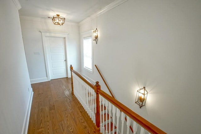 433 S Cortez St, New Orleans, LA 70119 - hallway with an upstairs landing, wood finished floors, crown molding, and baseboards